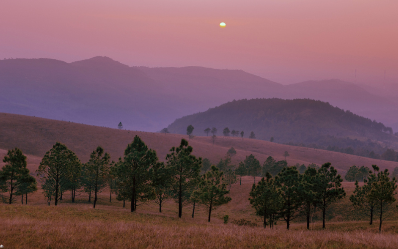 Mê mẩn vẻ đẹp hoang sơ đồi Phượng Hoàng Uông Bí