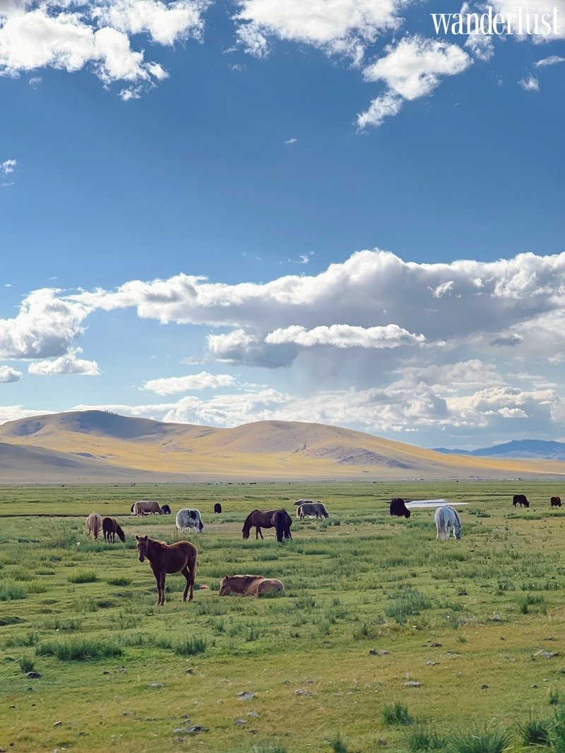 Câu chuyện về những miền đất hứa của cô gái văn phòng Helen | Wanderlust Tips