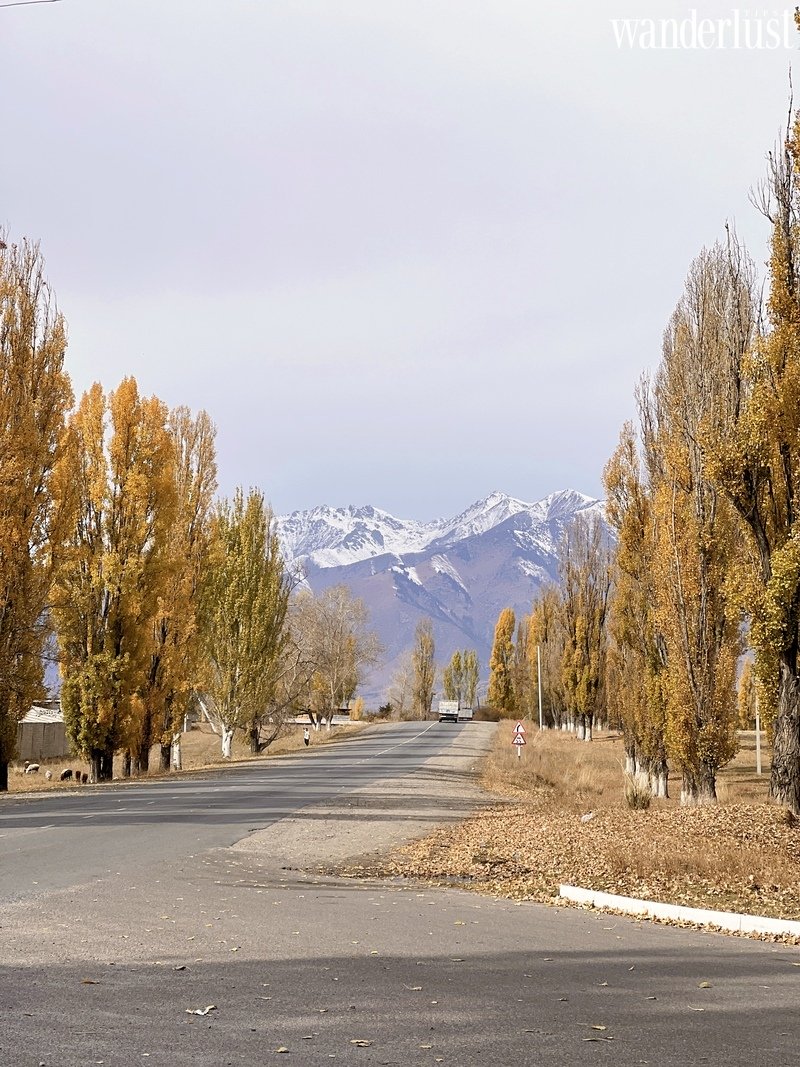 Câu chuyện về những miền đất hứa của cô gái văn phòng Helen | Wanderlust Tips