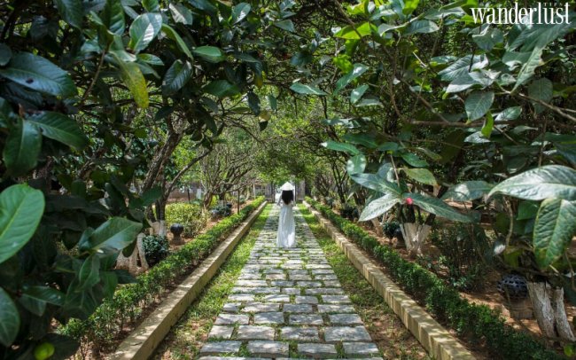 Góc nhỏ cố đô: Bình yên như một bức tranh vẽ