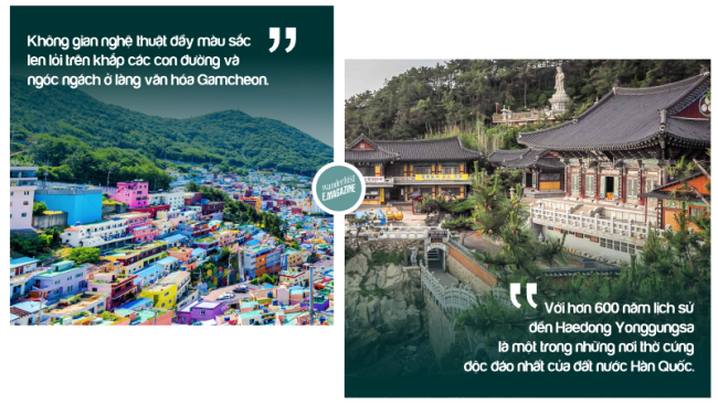 Hello World 10: Busan - Hành trình khám phá lá đỏ xứ sở kim chi