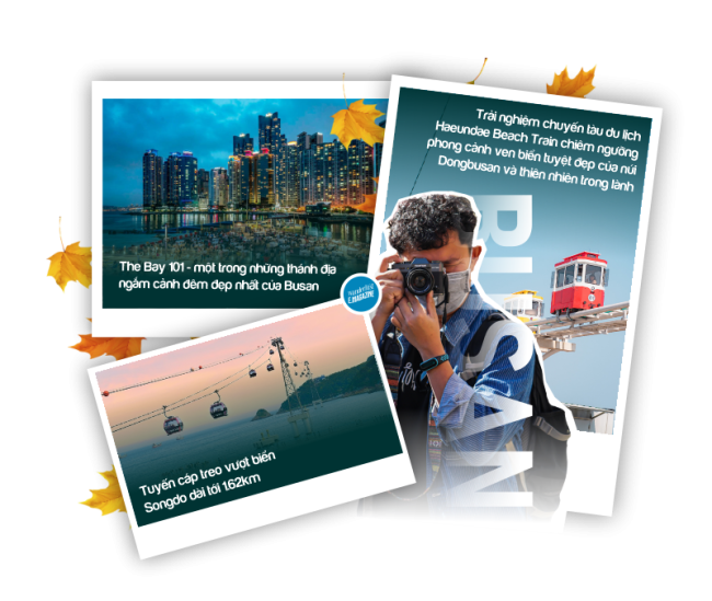 Hello World #10: Busan - Hành trình khám phá lá đỏ xứ sở kim chi 8 Hello World 10: Busan - Hành trình khám phá lá đỏ xứ sở kim chi