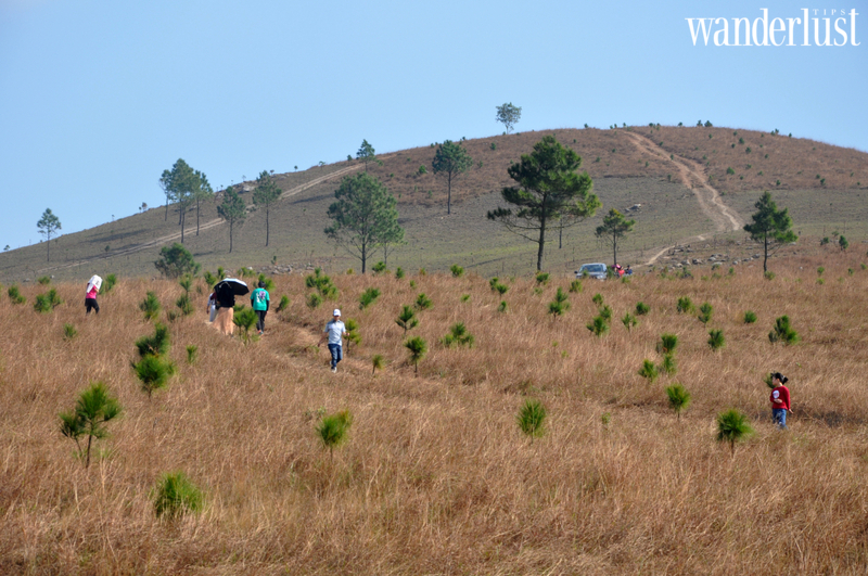 Mê mẩn vẻ đẹp hoang sơ đồi Phượng Hoàng Uông Bí 8 Mê mẩn vẻ đẹp hoang sơ đồi Phượng Hoàng Uông Bí | Wanderlust Tips