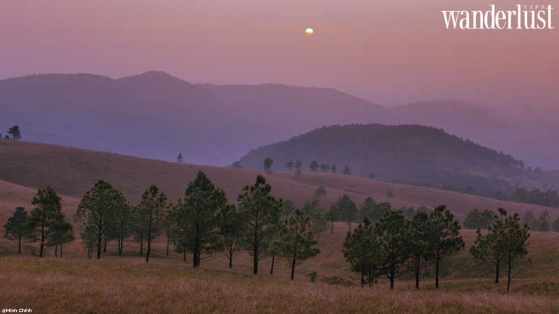 Mê mẩn vẻ đẹp hoang sơ đồi Phượng Hoàng Uông Bí 5 Mê mẩn vẻ đẹp hoang sơ đồi Phượng Hoàng Uông Bí | Wanderlust Tips