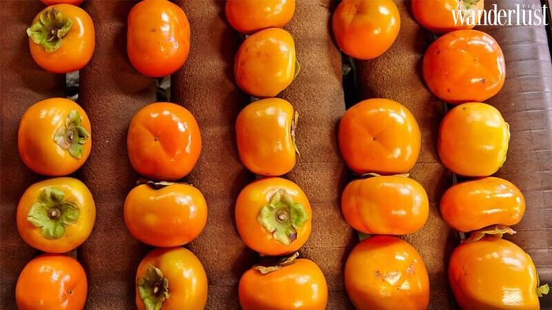 moc-chau-mua-hong-chin-sai-triu-qua