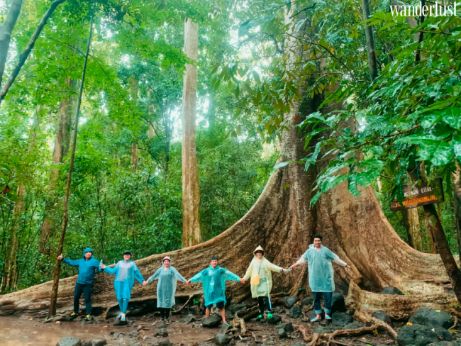 Về Nam Cát Tiên: Tìm "tôi" giữa thiên nhiên hoang dã