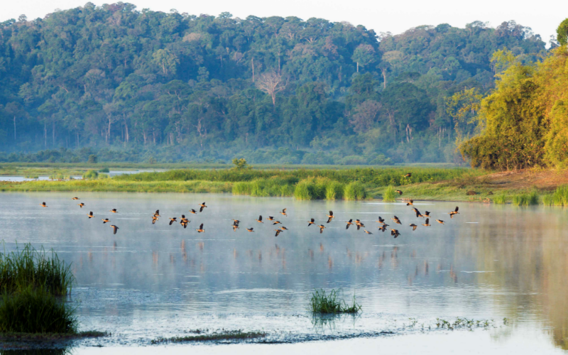 Về Nam Cát Tiên: Tìm “tôi” giữa thiên nhiên hoang dã