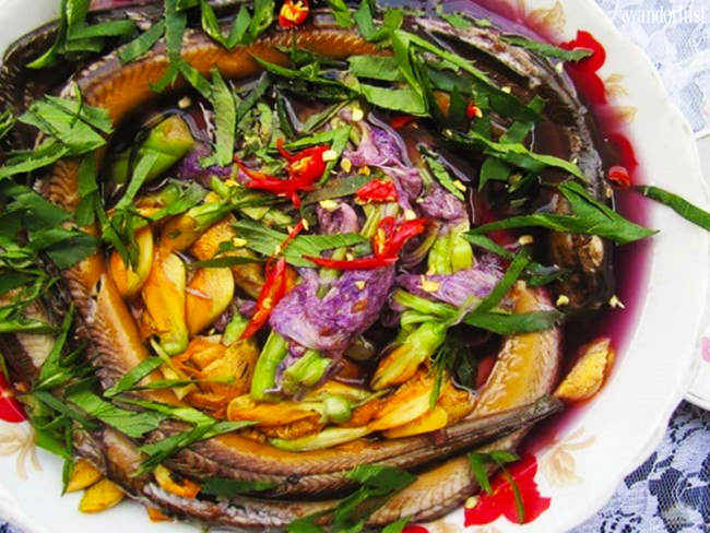 Về Nam Cát Tiên: Tìm "tôi" giữa thiên nhiên hoang dã 12 Về Nam Cát Tiên: Tìm "tôi" giữa thiên nhiên hoang dã