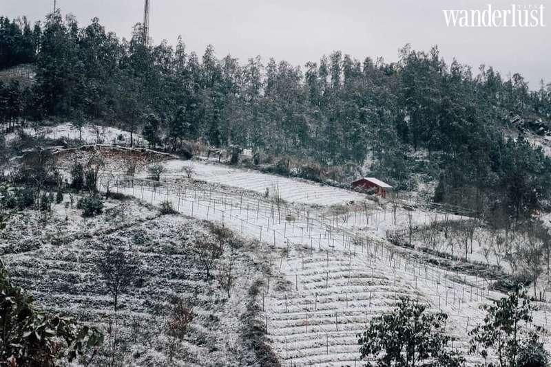 Đi đâu Việt Nam để ngắm tuyết rơi? | Wanderlust Tips 
