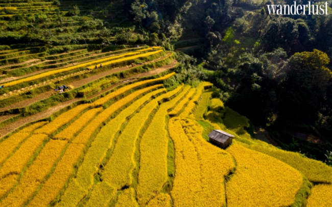 Thung lũng Xuân Trường ẩn mình giữa Đông Bắc