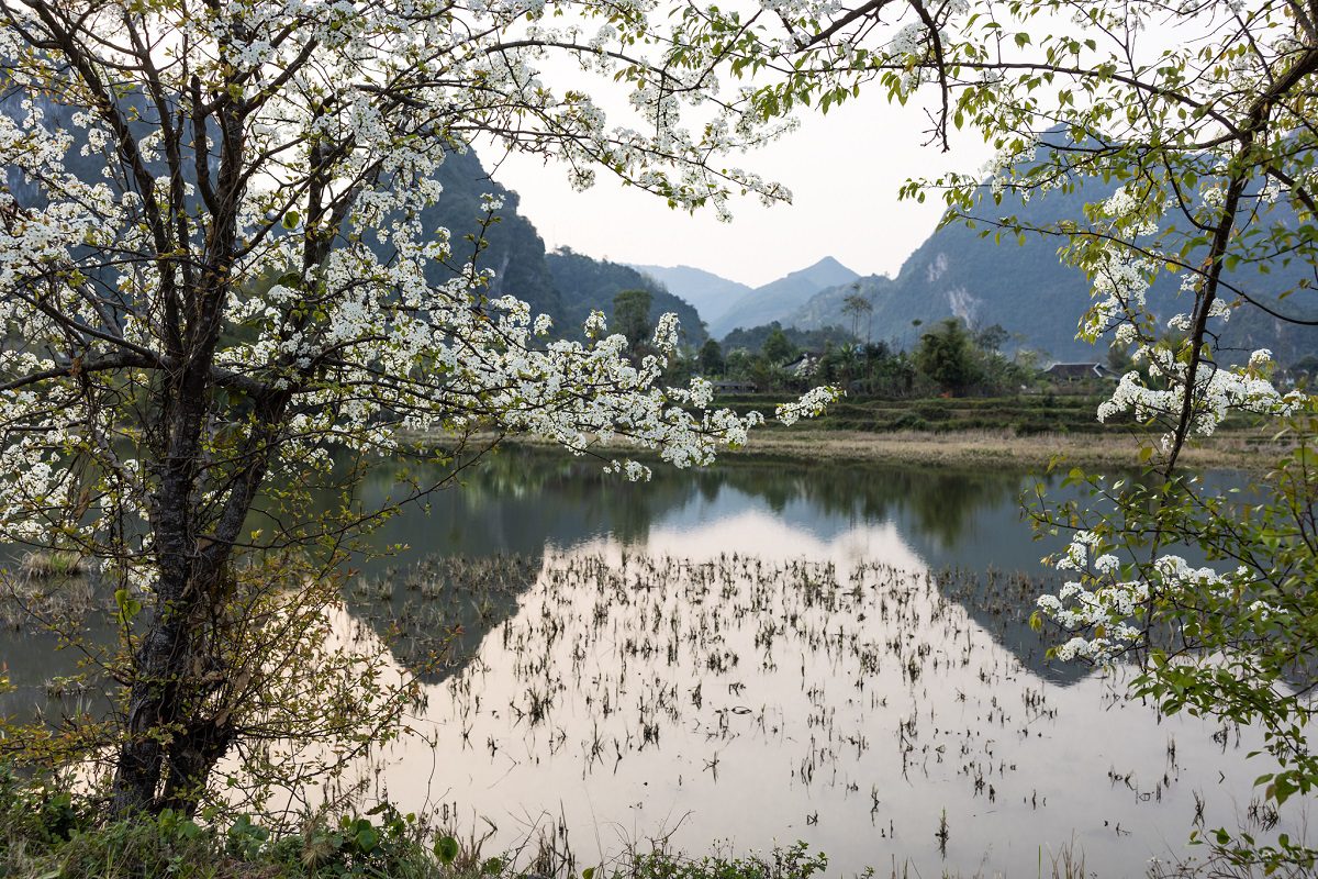 Thung lũng Xuân Trường ẩn mình giữa Đông Bắc Thung lũng Xuân Trường ẩn mình giữa Đông Bắc