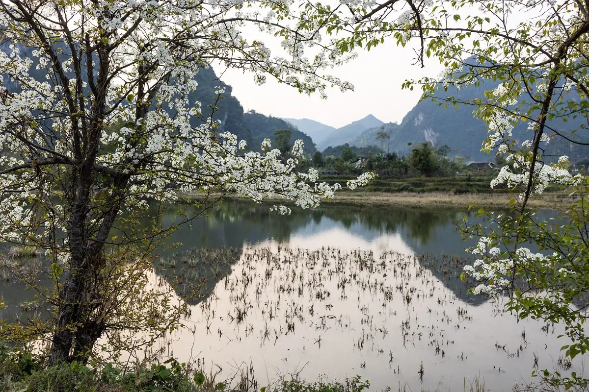 Thung lũng Xuân Trường ẩn mình giữa Đông Bắc Thung lũng Xuân Trường ẩn mình giữa Đông Bắc