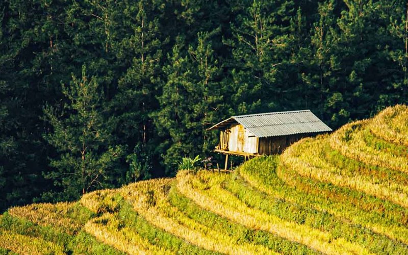 Ghé thăm những bản làng đẹp nhất ở Sapa (Phần 1) Ghé thăm những bản làng đẹp nhất ở Sapa (Phần 1)