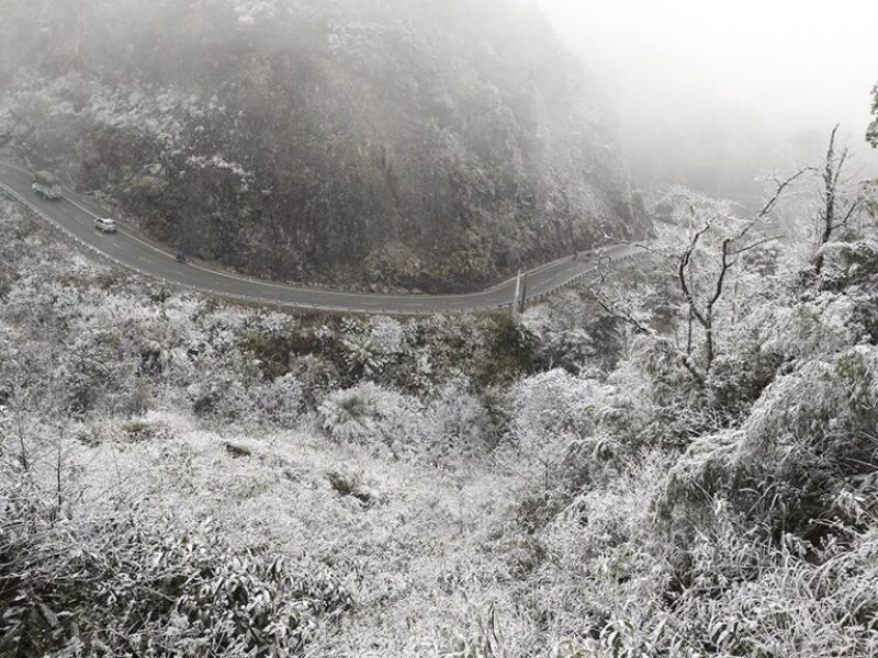 Đi đâu Việt Nam để ngắm tuyết rơi? | Wanderlust Tips 