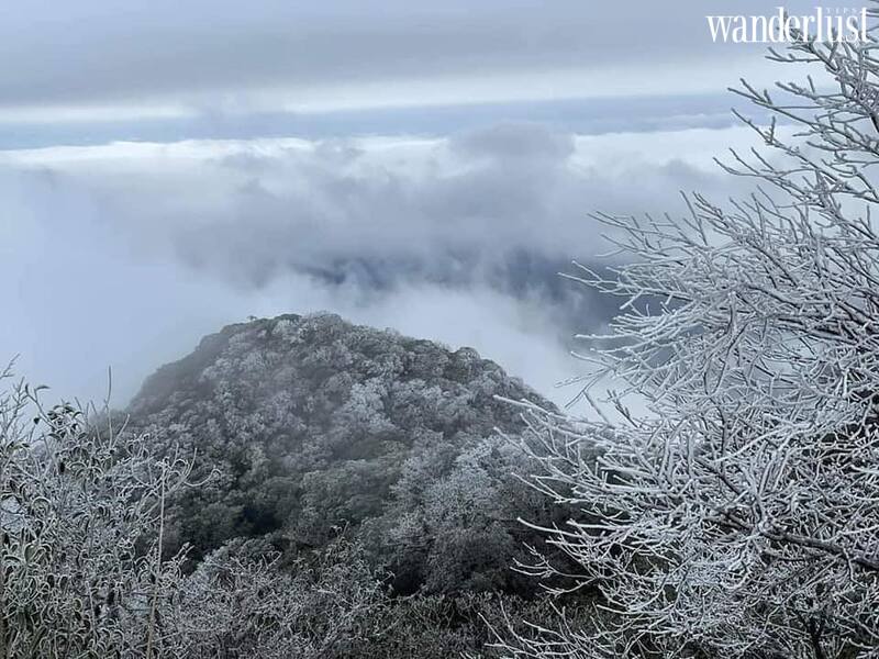 Đi đâu Việt Nam để ngắm tuyết rơi? | Wanderlust Tips 