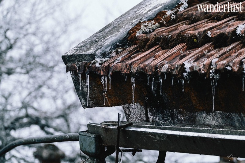 Đi đâu Việt Nam để ngắm tuyết rơi? | Wanderlust Tips 