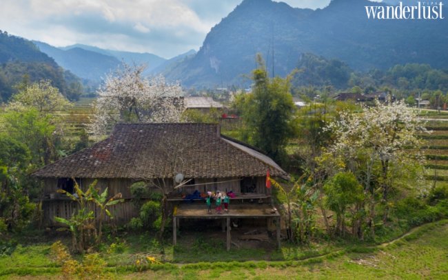 Thung lũng Xuân Trường ẩn mình giữa Đông Bắc 9 Thung lũng Xuân Trường ẩn mình giữa Đông Bắc