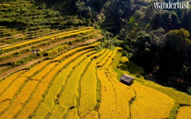 Thung lũng Xuân Trường ẩn mình giữa Đông Bắc 5 Thung lũng Xuân Trường ẩn mình giữa Đông Bắc