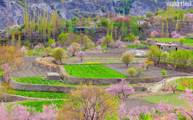 Thung lũng Hunza: Xuân về miền Nam Á