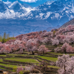 thung-lung-hunza-xuan-ve-mien-nam-a