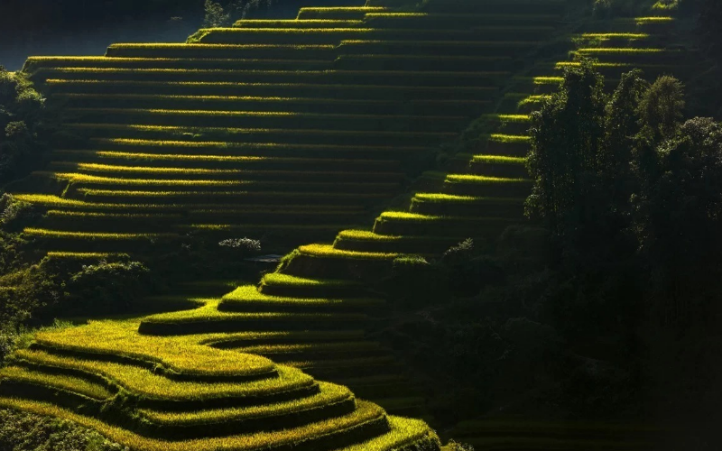 Hoàng Su Phì: Điểm đến thơ mộng ngày xuân