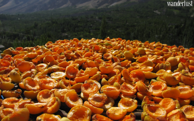 Thung lũng Hunza: Xuân về miền Nam Á