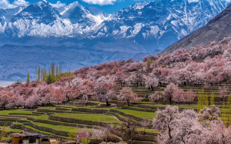 Hunza: Xuân về thung lũng miền Nam Á