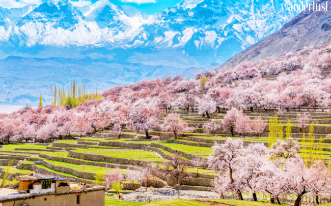 Thung lũng Hunza: Xuân về miền Nam Á