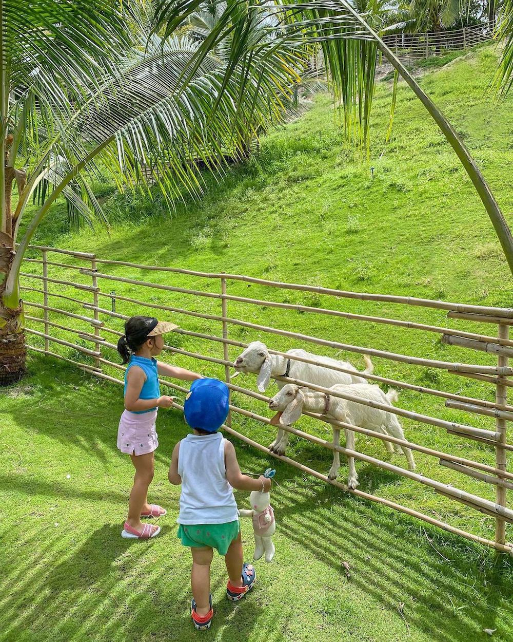 Kid activities Fusion Resort Cam Ranh 4