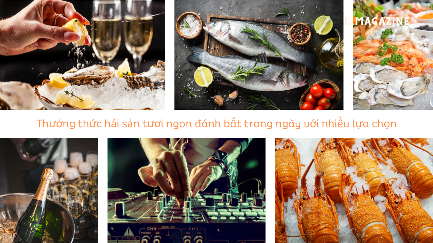 thuong thuc hai san tuoi ngon danh bat trong ngay voi nhieu lua chon