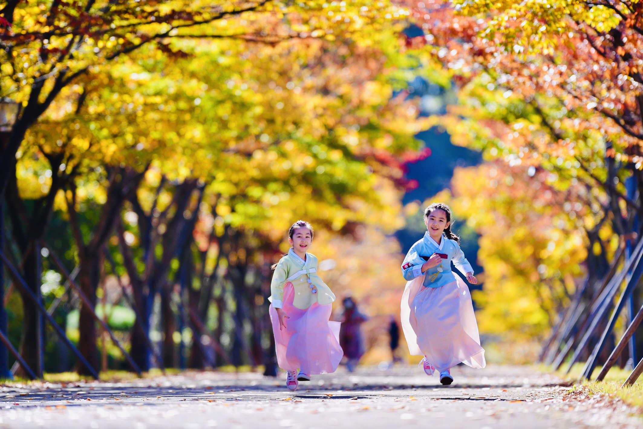 wanderlusttips korea mice roadshow 2023 lan song du lich han quoc phat trien manh me 2