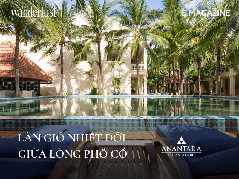 wanderlusttips hanh trinh tu hoi an den quy nhon nhung trai nghiem an tuong 1