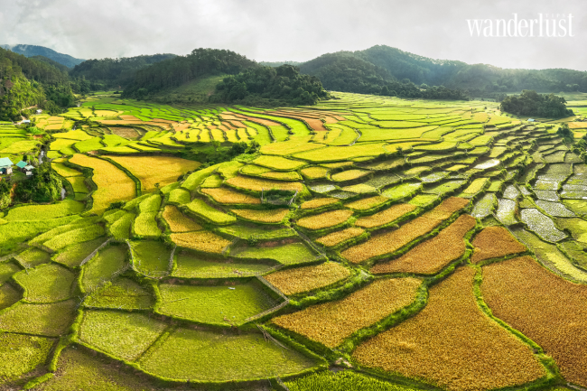 Măng Đen: Nàng thơ hoang dại của Đại ngàn 12 wanderlusttips mang den nang tho hoang dai cua dai ngan 8