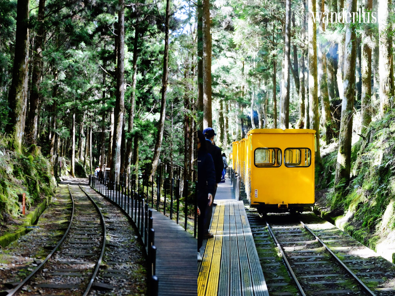 Núi Thái Bình: Khu rừng cổ tích thơ mộng của xứ Đài 5 wanderlusttips nui thai binh khu rung co tich mo mong cua xu dai 1