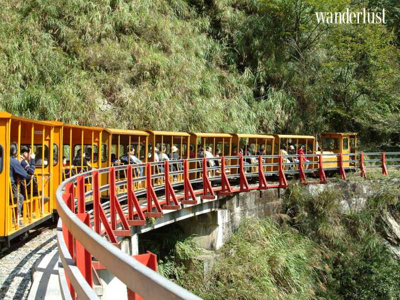 Núi Thái Bình: Khu rừng cổ tích thơ mộng của xứ Đài 7 wanderlusttips nui thai binh khu rung co tich mo mong cua xu dai 3