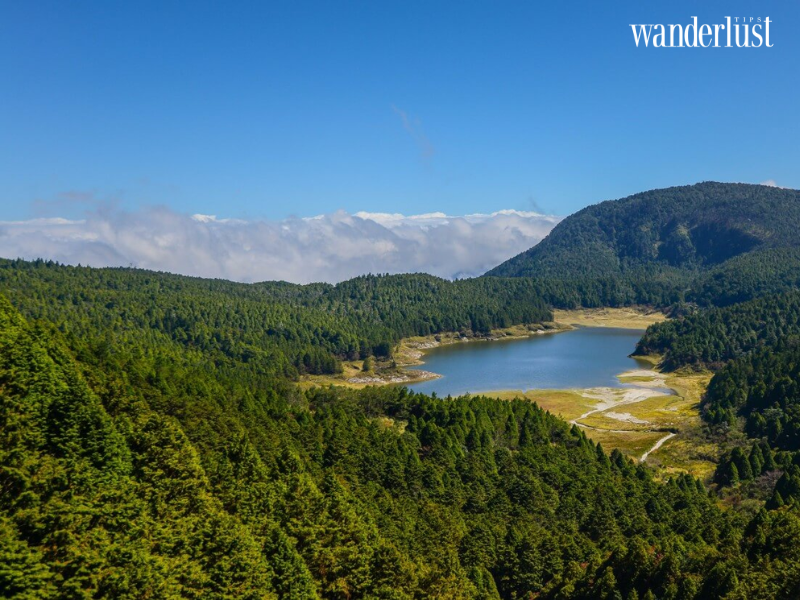 Núi Thái Bình: Khu rừng cổ tích thơ mộng của xứ Đài 8 wanderlusttips nui thai binh khu rung co tich mo mong cua xu dai 4