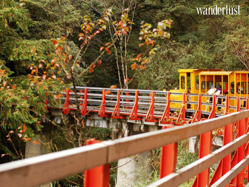 Núi Thái Bình: Khu rừng cổ tích thơ mộng của xứ Đài 9 wanderlusttips nui thai binh khu rung co tich mo mong cua xu dai 5