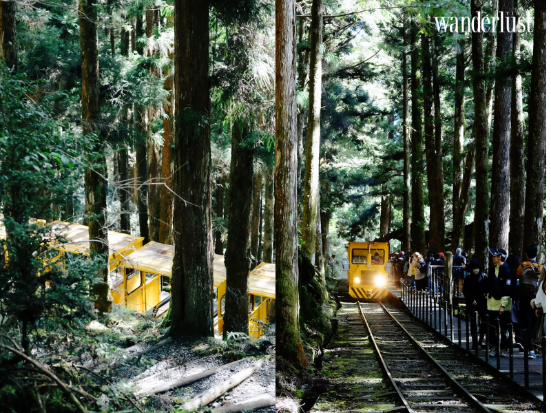 Núi Thái Bình: Khu rừng cổ tích thơ mộng của xứ Đài 10 wanderlusttips nui thai binh khu rung co tich mo mong cua xu dai 6