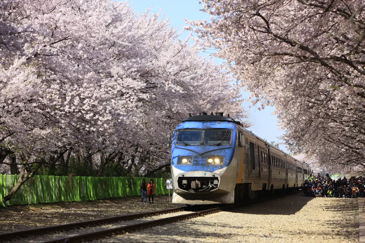 Kết quả hoạt động du lịch Việt Nam - Hàn Quốc năm 2024 6 Ket qua hoat dong du lich Viet Nam Han Quoc nam 2024 1