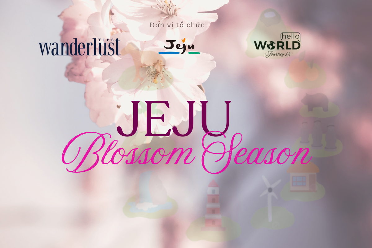 Jeju Blossom Season Noi Tinh Yeu Thang Hoa