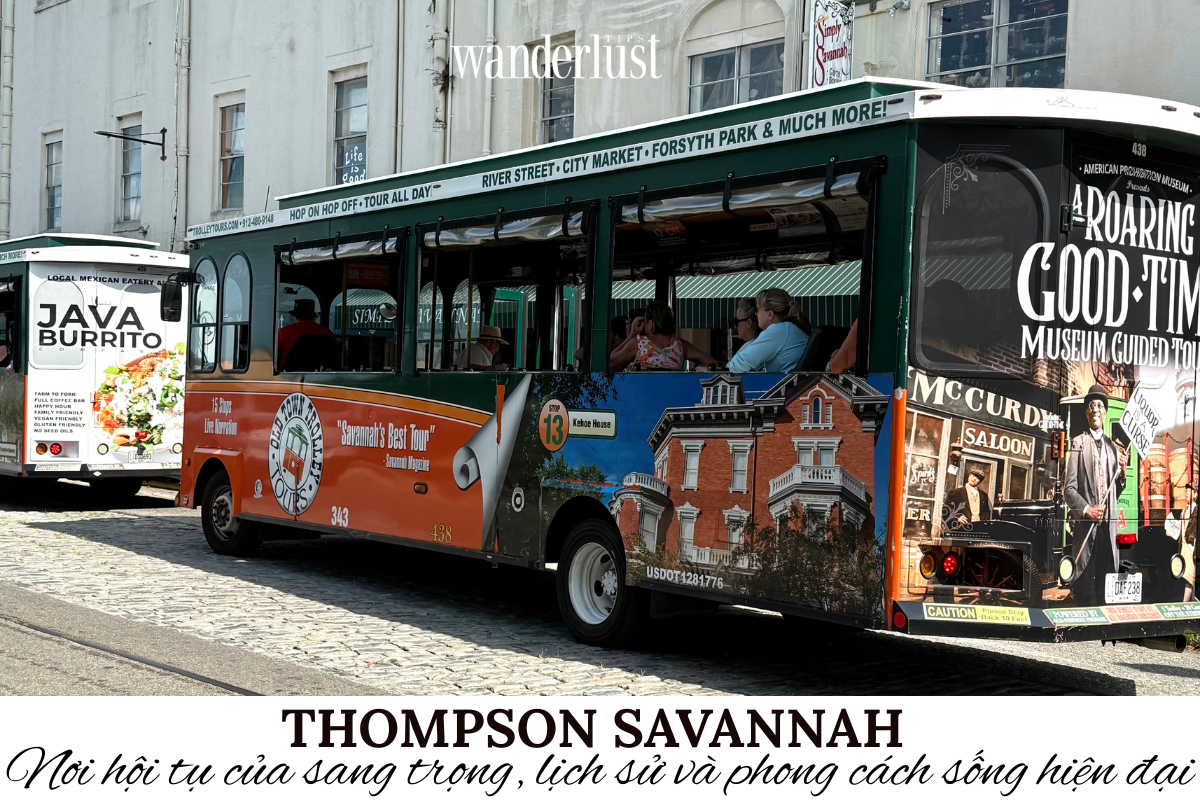 Thompson Savannah Noi hoi tu cua sang trong lich su va phong cach song hien dai 1