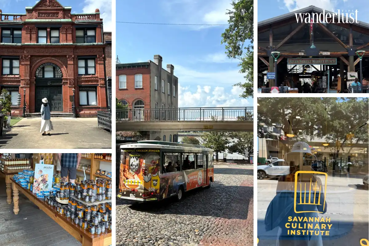 Thompson Savannah Noi hoi tu cua sang trong lich su va phong cach song hien dai 4