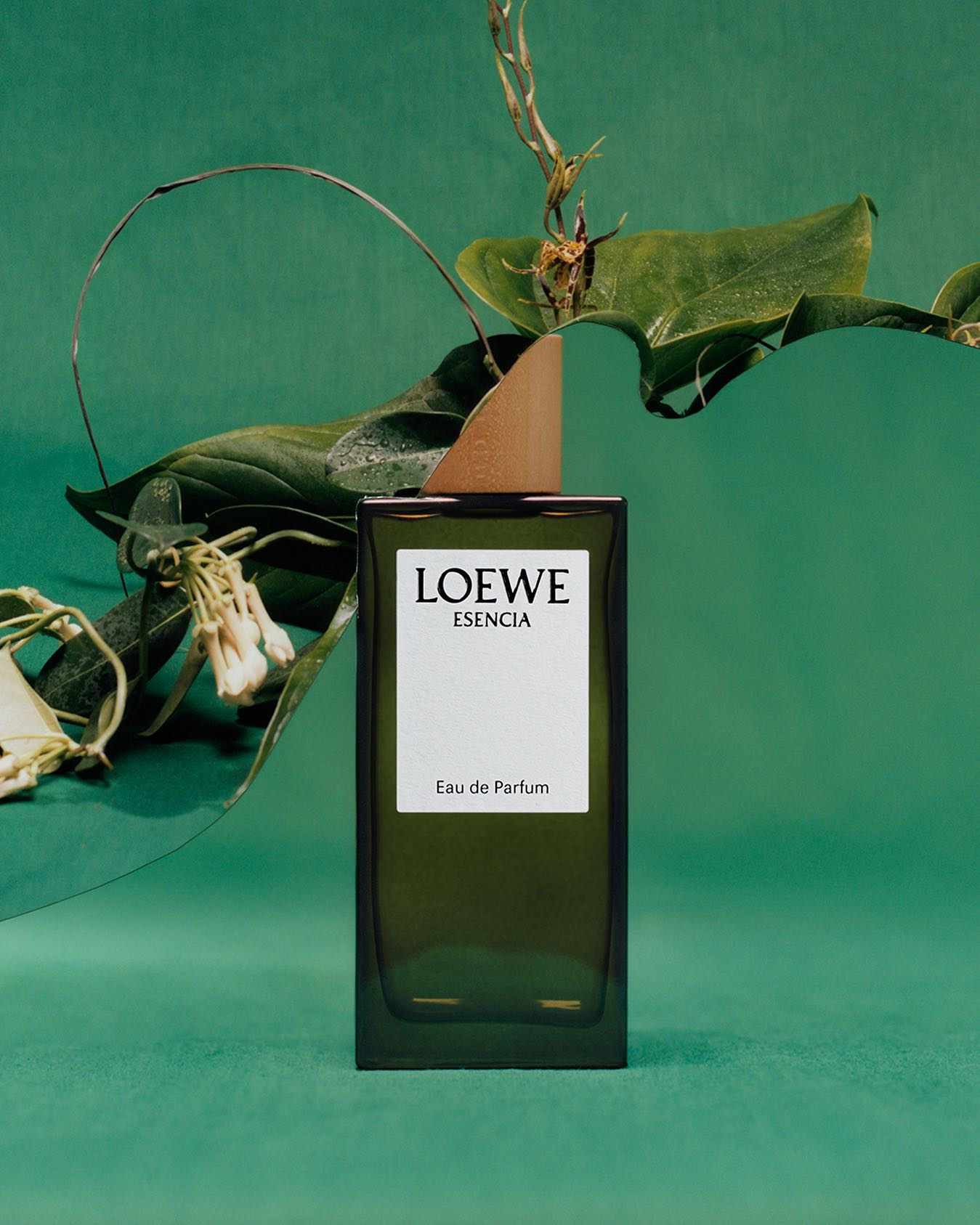 Khám phá LOEWE Aire Anthesis: Vẻ đẹp nhẹ nhàng trong mỗi lớp hương 9 Kham pha LOEWE Aire Anthesis Ve dep nhe nhang trong moi lop huong 5