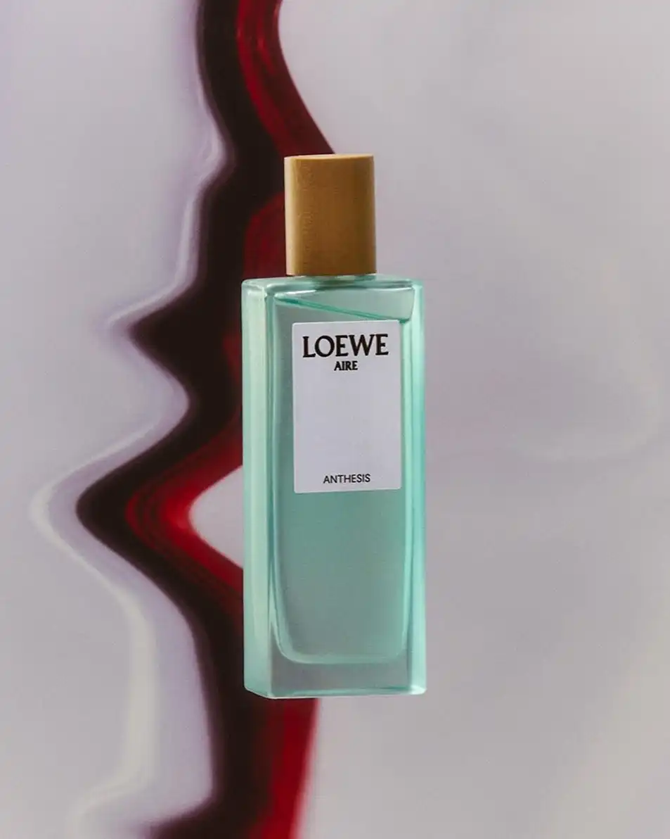 Kham pha LOEWE Aire Anthesis Ve dep nhe nhang trong moi lop huong 1