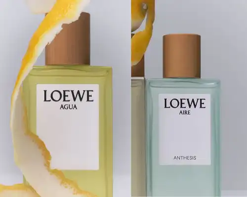 Kham pha LOEWE Aire Anthesis Ve dep nhe nhang trong moi lop huong 2