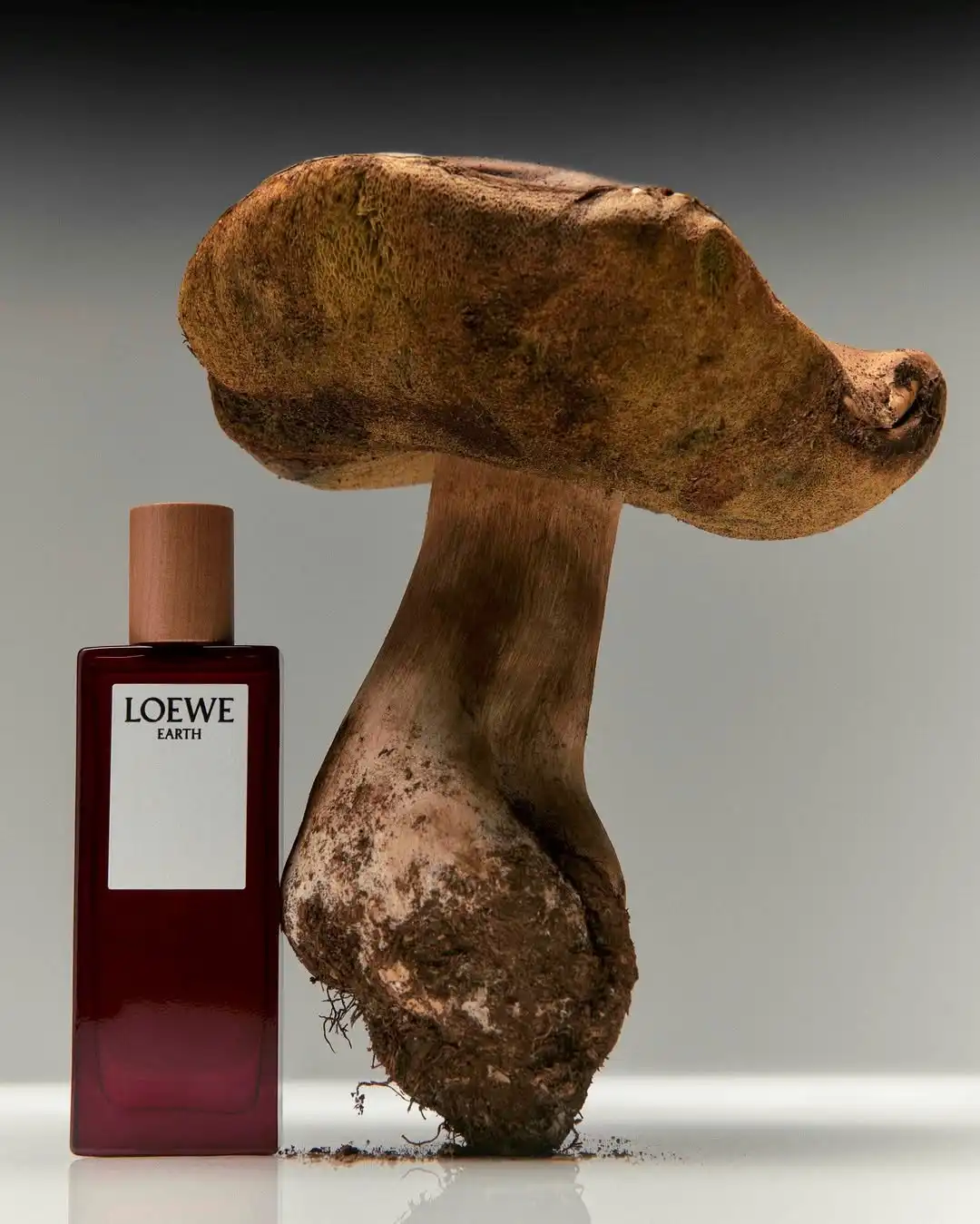 Kham pha LOEWE Aire Anthesis Ve dep nhe nhang trong moi lop huong 3