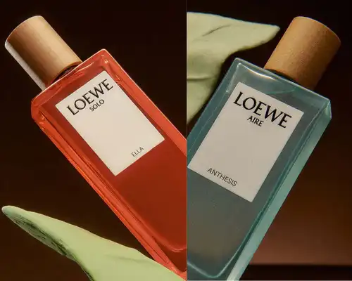 Kham pha LOEWE Aire Anthesis Ve dep nhe nhang trong moi lop huong 4