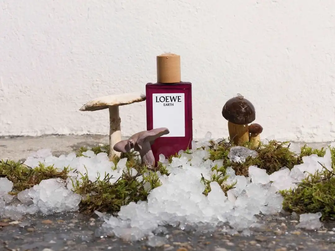 LOEWE Earth EDP với thiết kế sang trọng 