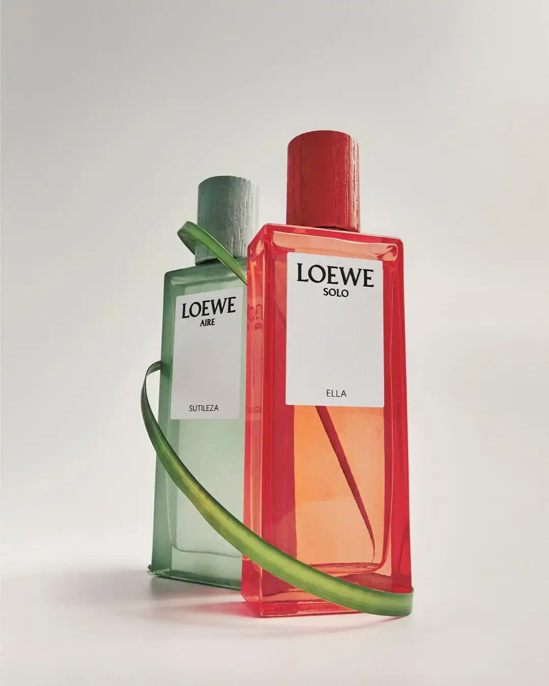 LOEWE-Aire-Sutileza-nuoc-hoa