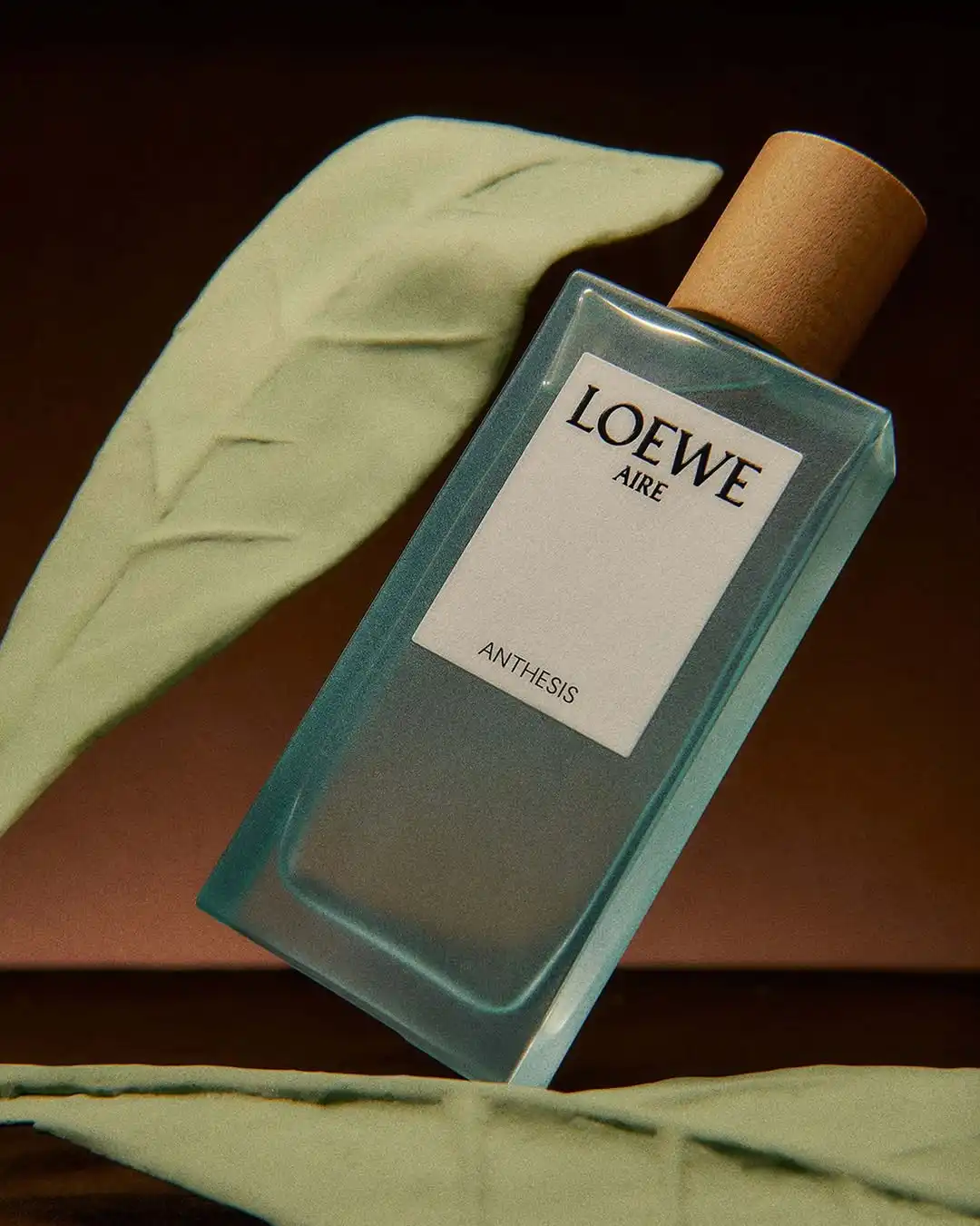 LOEWE Aire Anthesis - thanh thoát và đầy nữ tính